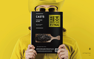 铜陵绯茶品牌设计